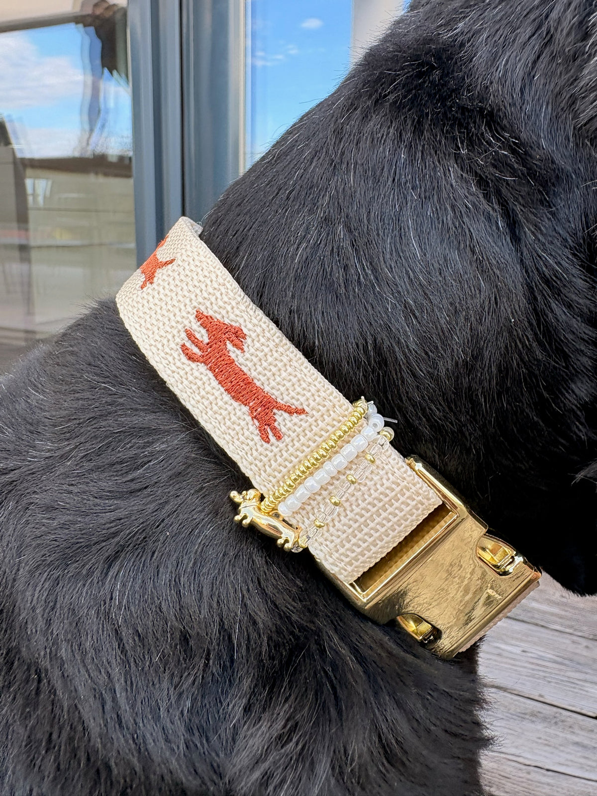 Halsband Ludwig Kakao | Creme