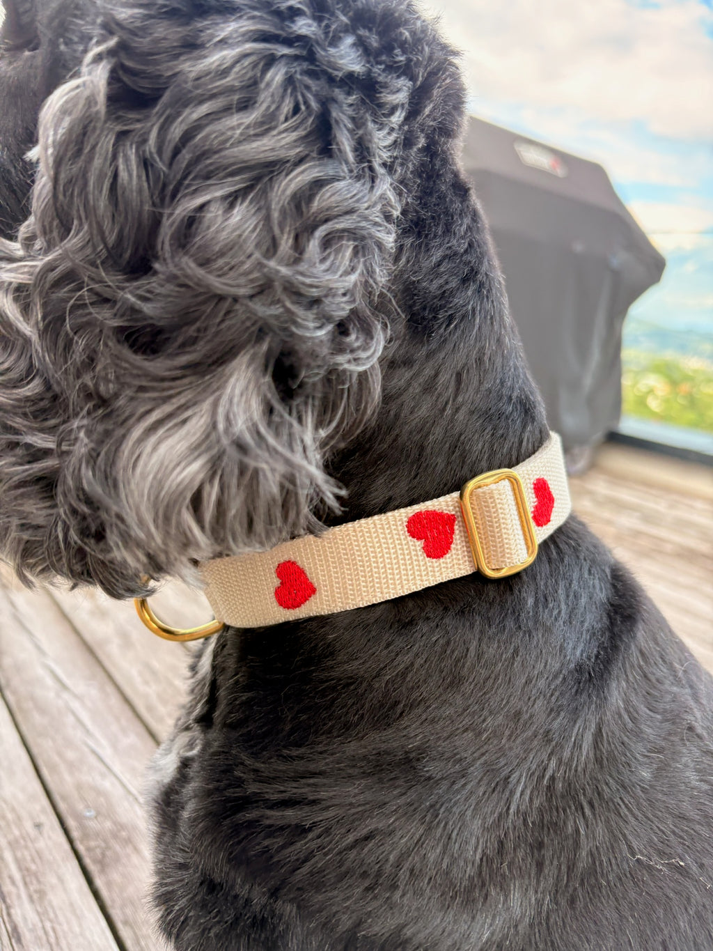 Halsband Frieda Rot | Creme
