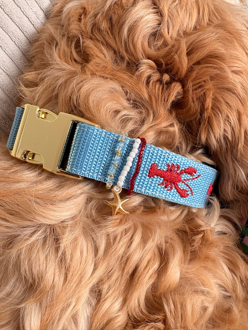 Halsband Otto Rot | Blau