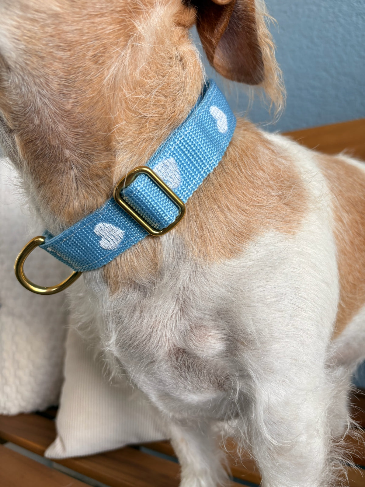 Halsband Frieda Weiß | Blau