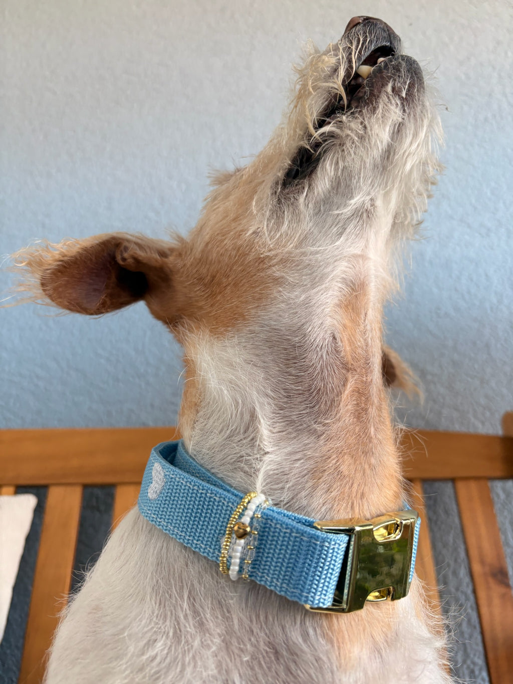 Halsband Frieda Weiß | Blau