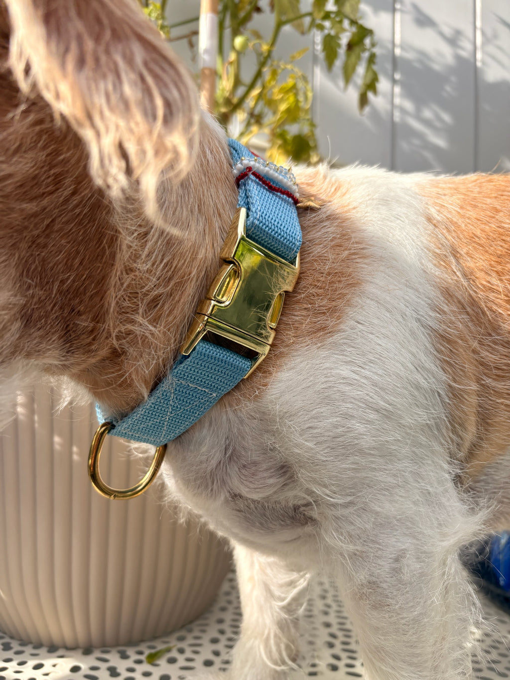 Halsband Otto Rot | Blau