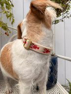 Halsband Otto Rot | Creme