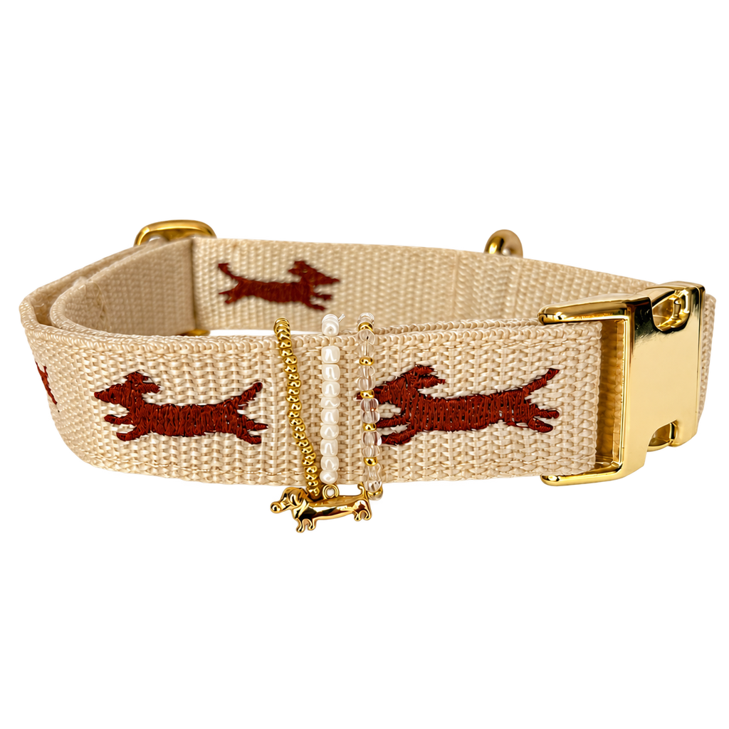 Halsband Ludwig Kakao | Creme