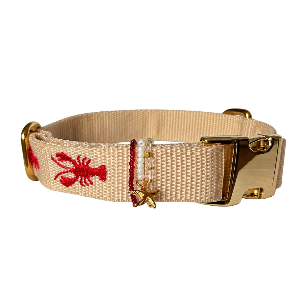 Halsband Otto Rot | Creme