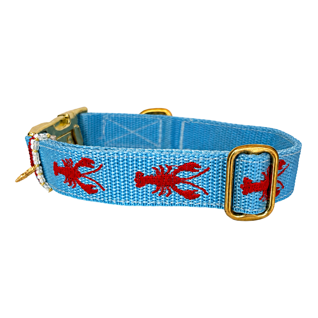 Halsband Otto Rot | Blau