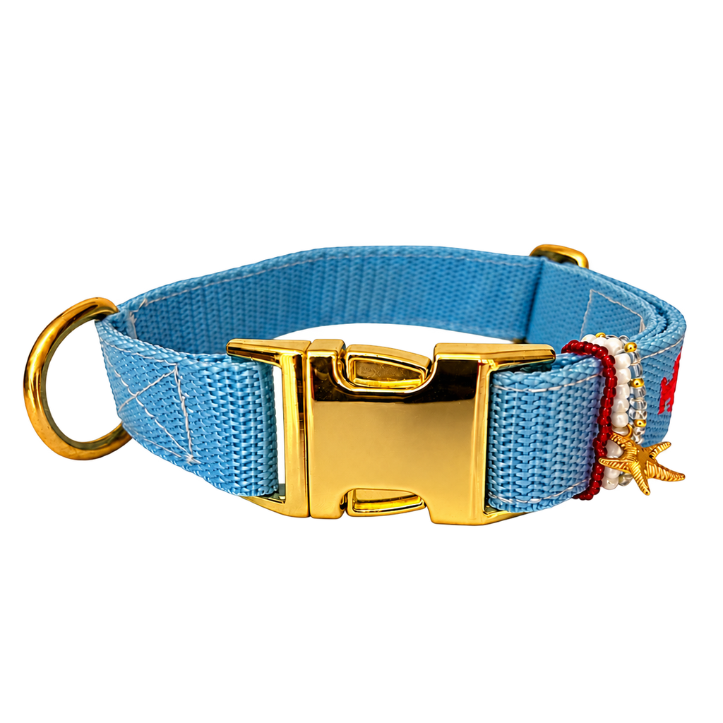 Halsband Otto Rot | Blau