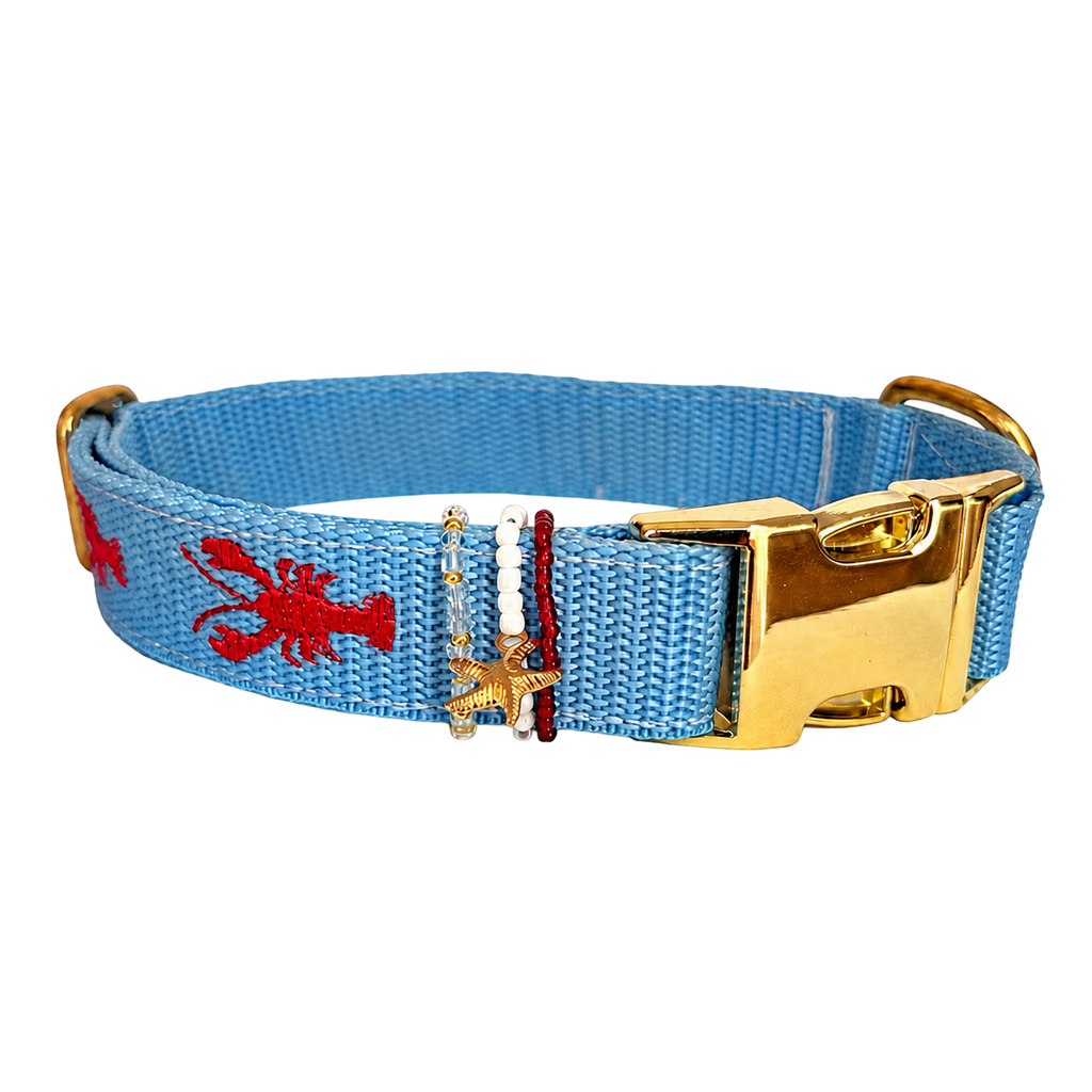 Halsband Otto Rot | Blau